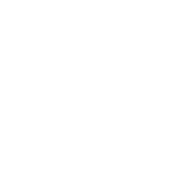 Social Ads Icon