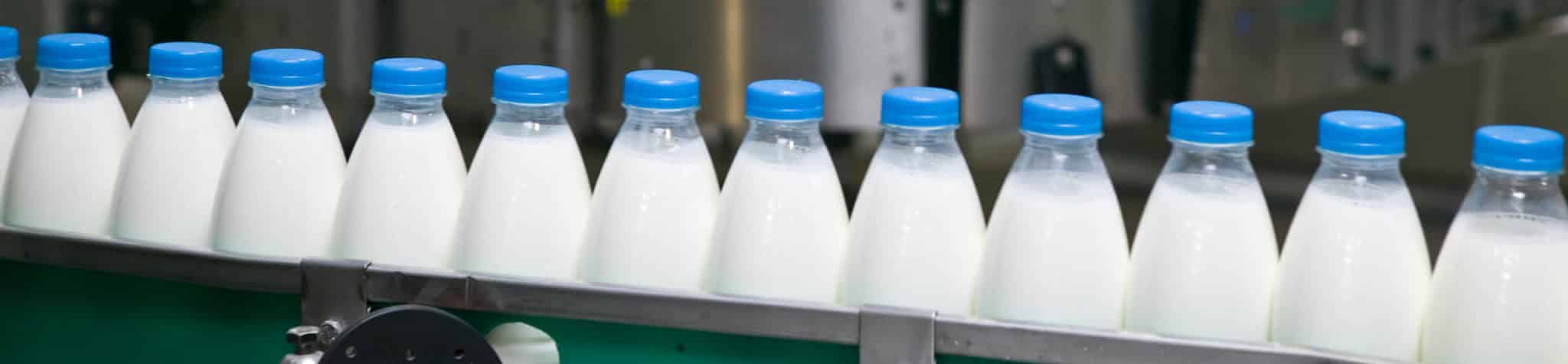 milk bottles on a line