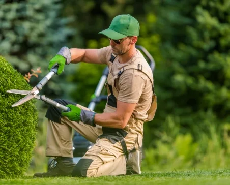 landscape business